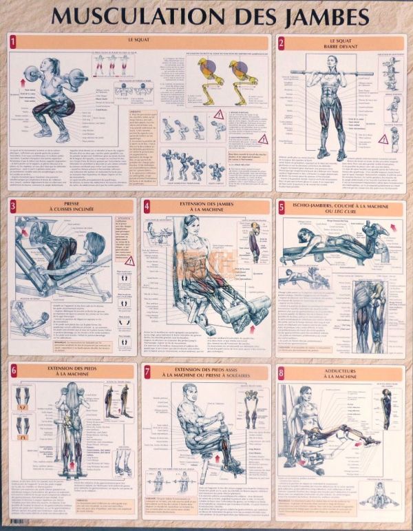 Poster d'exercices pour la musculation des jambes - POST-JAMBE