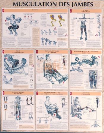 exercices pour la musculation des jambes